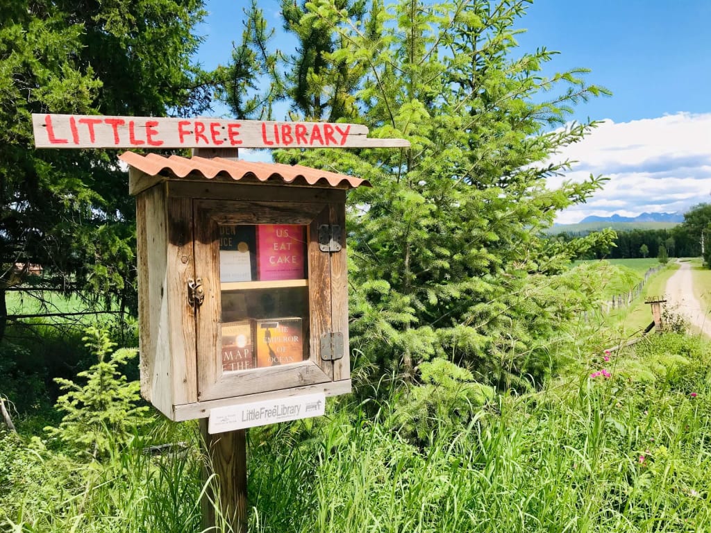 little free library Polebridge MN